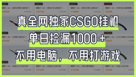 真全网独家CSGO挂G，单日捡漏1k+【揭秘】-天星云网创