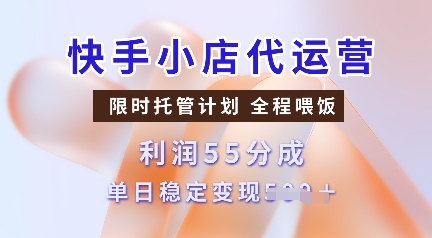 快手小店代运营，限时托管计划，收益55分，单日稳定变现多张【揭秘】-天星云网创