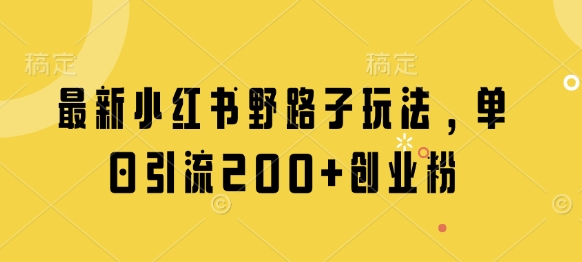 最新小红书野路子玩法，单日引流200+创业粉-天星云网创