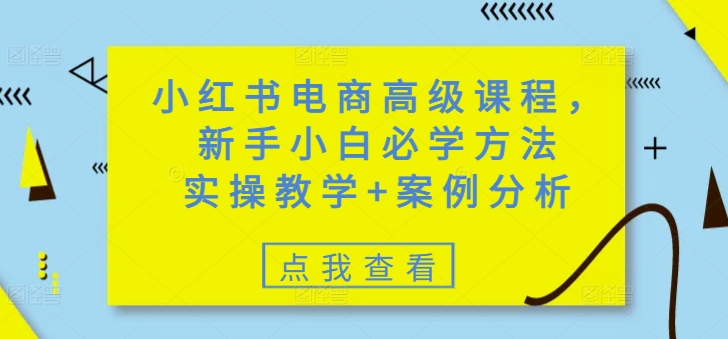 小红书电商高级课程，新手小白必学方法，实操教学+案例分析-天星云网创