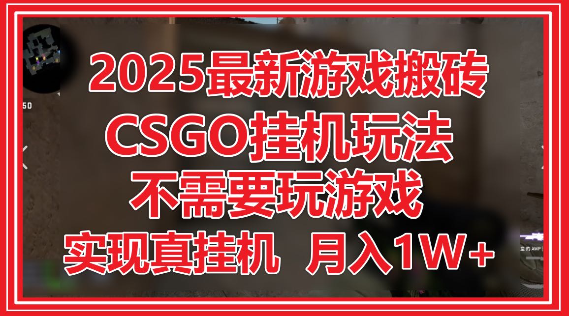 2025最新游戏搬砖，CSGO挂机，不需要玩游戏，实现真挂机，月入1W+-天星云网创
