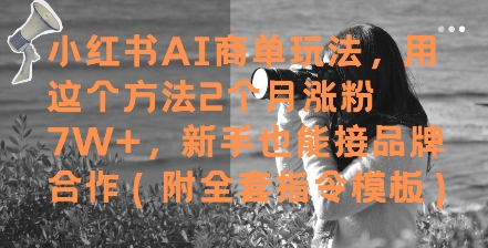 小红书AI商单玩法，用这个方法2个月涨粉7W+，新手也能接品牌合作(附全套指令模板)-天星云网创