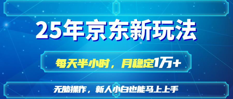 25京东新玩法，每天半小时，月稳定1W+-天星云网创