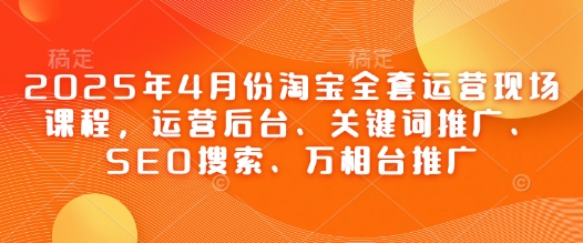 2025年4月份淘宝全套运营现场课程，运营后台、关键词推广、SEO搜索、万相台推广-天星云网创