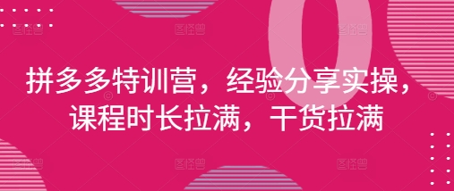 拼多多特训营，经验分享实操，课程时长拉满，干货拉满(更新25年4月)-天星云网创