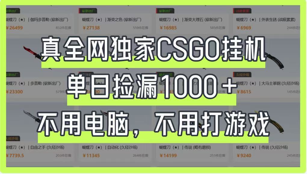 真全网独家CSGO挂机，单日捡漏1000+，不用电脑，不用养号-天星云网创
