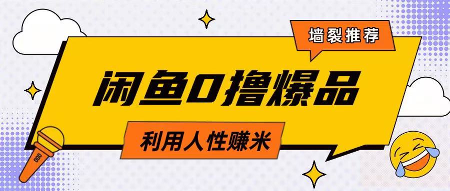 咸鱼0撸玩法利用人性售卖商品达到日挣2张的效果-天星云网创