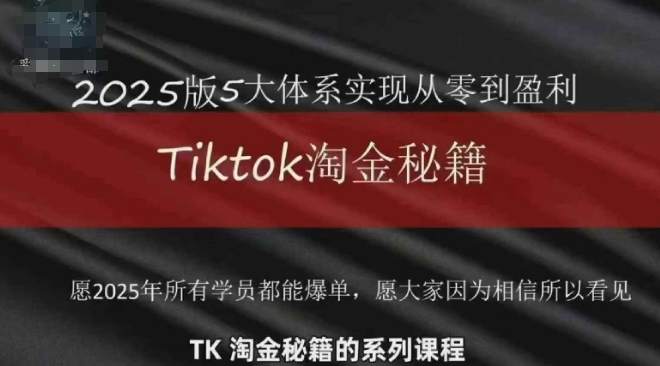 TikTok跨境2025淘金秘籍，​2025TikTok从0到盈利变现-天星云网创