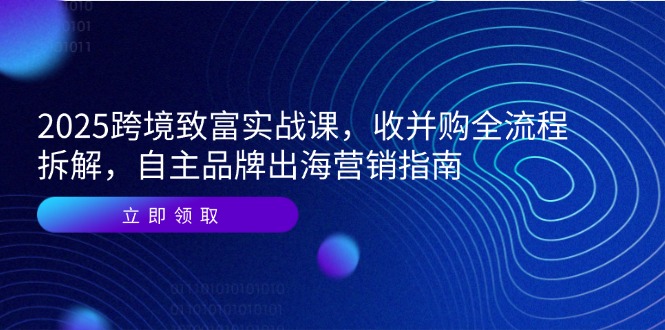 2025跨境致富实战课，收并购全流程拆解，自主品牌出海营销指南-天星云网创