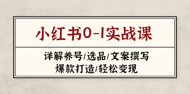 小红书0-1实战课(2023-2025-天星云网创