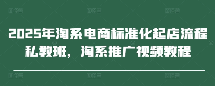 2025年淘系电商标准化起店流程私教班，淘系推广视频教程-天星云网创
