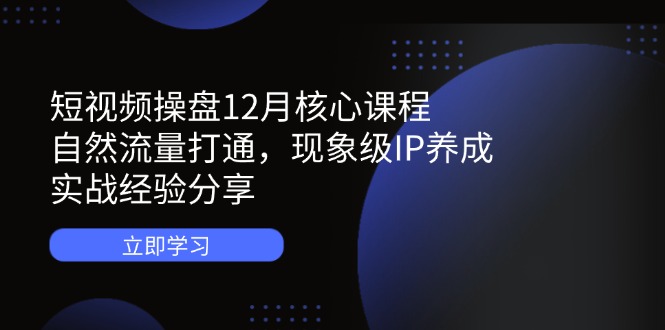 短视频操盘12月核心课程：自然流量打通，现象级IP养成，实战经验分享-天星云网创