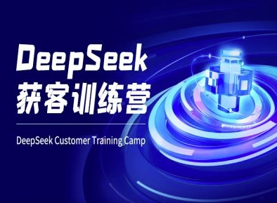 DeepSeek获客训练营-ai电商教程-天星云网创