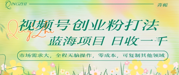 视频号创业粉打法，日入1k，蓝海项目，市场需求大，全程无脑操作，可复制-天星云网创