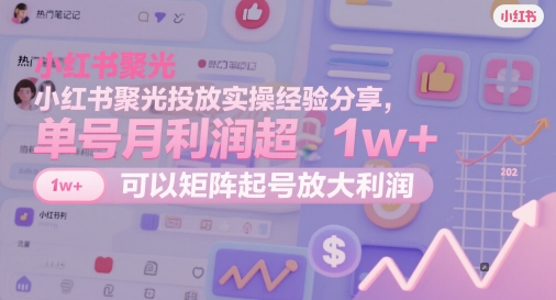 小红书聚光投放实操经验分享，单号月利润超1w+，可以矩阵起号放大利润-天星云网创