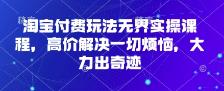 淘宝付费玩法无界实操课程，高价解决一切烦恼，大力出奇迹-天星云网创