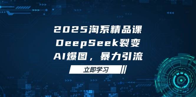 2025 淘系精品课，DeepSeek 裂变，AI 爆图，暴力引流-天星云网创