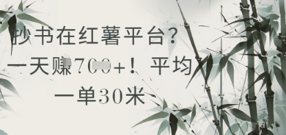 抄书在小红薯平台？平均一单30米，一天收益几张！-天星云网创