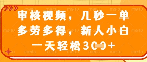 视频审核员，几秒一单，不限时间，不限地点，多做多得，新人小白一天轻松几张+【揭秘】-天星云网创
