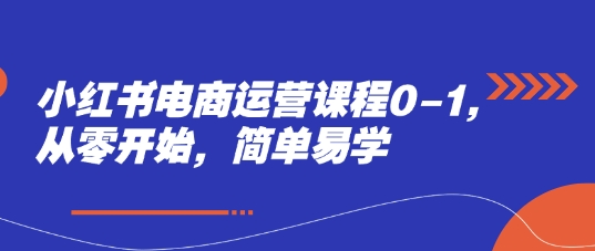 小红书电商运营课程0-1，从零开始，简单易学-天星云网创