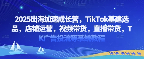 2025出海加速成长营，TikTok基建选品，店铺运营，视频带货，直播带货，TK广告投流等系统教程-天星云网创