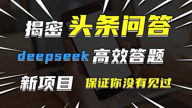 头条问答，刚出的新玩法！保证你没见过！用DeepSeek去高效答题，一个账…-天星云网创
