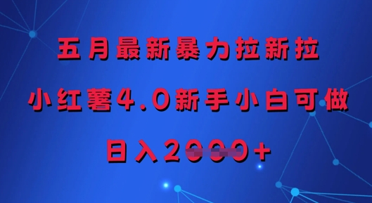 五月最新暴力拉新拉，小红薯4.0新手小白可做，日入多张-天星云网创