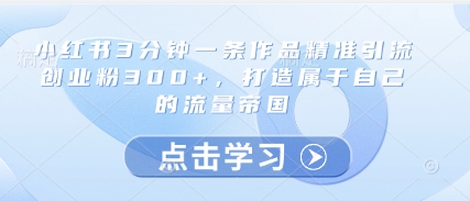 小红书3分钟一条作品精准引流创业粉300+，打造属于自己的流量帝国-天星云网创