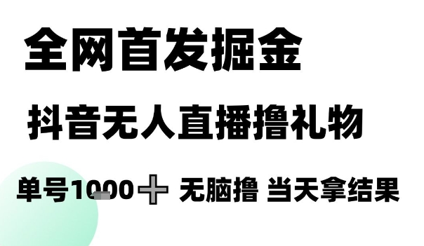 全网首发掘金抖音无人直播撸礼物，单号1k +无脑撸，当天拿结果【揭秘】-天星云网创