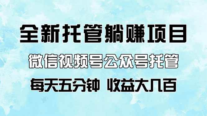 全新托管躺赚项目，微信视频号公众号托管代运营，每天五分钟，收益大几百-天星云网创