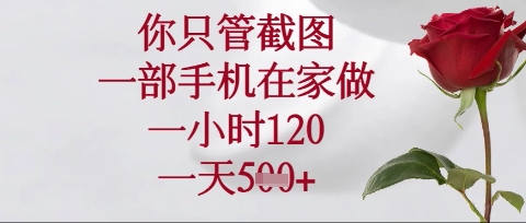 你只管截图，一部手机在家操作，一小时120.一天5张【揭秘】-天星云网创