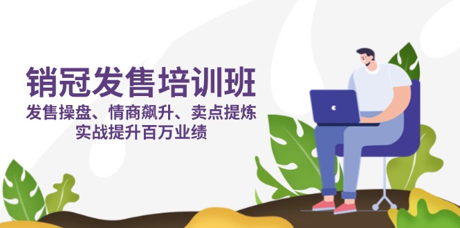 销冠 发售培训班：发售 操盘+情商 飙升+卖点 提炼，实战提升百万业绩-天星云网创