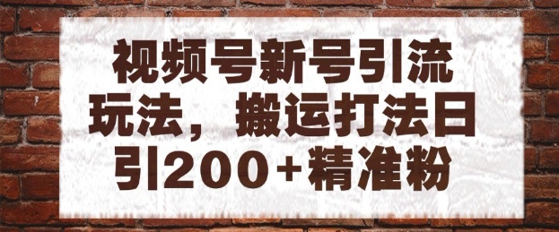 视频号新号引流玩法，搬运打法日引200+精准粉，可矩阵放大【揭秘】-天星云网创