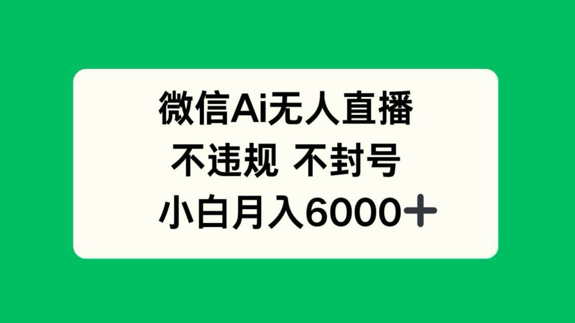 微信AI无人直播，不违规 不封号 ，小白月入6000+-天星云网创
