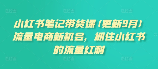 小红书笔记带货课(更新25年4月)流量电商新机会，抓住小红书的流量红利-天星云网创
