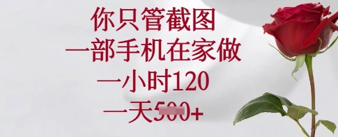 你只管截图，一部手机在家做，一小时120.一天5张【揭秘】-天星云网创