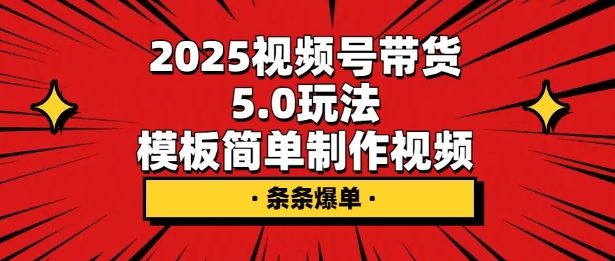 2025视频号带货5.0玩法，模板简单制作视频，条条爆单-天星云网创