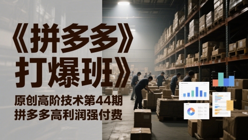 《拼多多打爆班》原创高阶技术第44期，拼多多高利润强付费-天星云网创