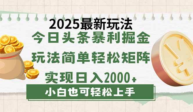今日头条2025最新玩法，思路简单，复制粘贴，轻松实现矩阵日入2000+-天星云网创