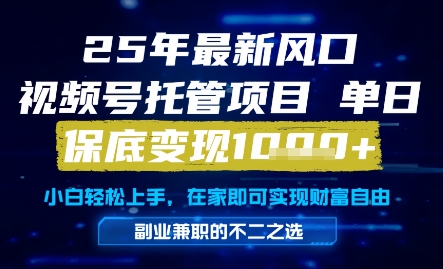 25年最新风口，视频号托管项目，单日保底变现1k+，手把手教学【揭秘】-天星云网创