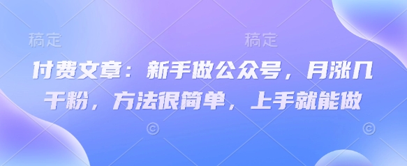 付费文章：新手做公众号，月涨几干粉，方法很简单，上手就能做-天星云网创