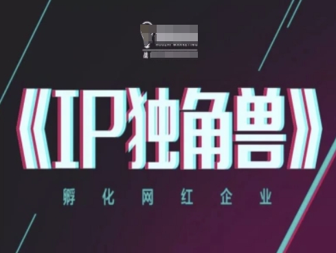 IP独角兽，孵化网红企业，ip教程-天星云网创