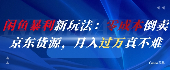 闲鱼暴利新玩法：零成本倒卖京东货源，月入过1W真不难-天星云网创