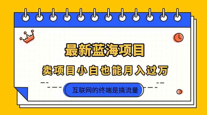 2025年最新蓝海项目，卖项目小白也能月入过万-天星云网创