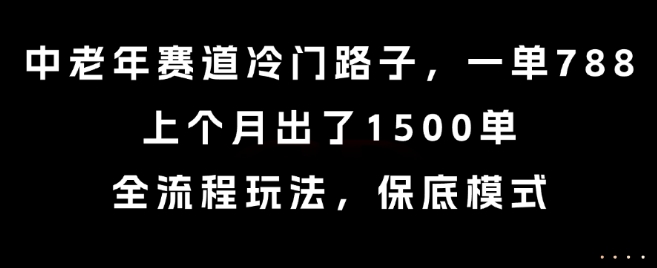 中老年赛道冷门路子，一单788，上个月出了1500单，全流程玩法，保底模式【揭秘】-天星云网创