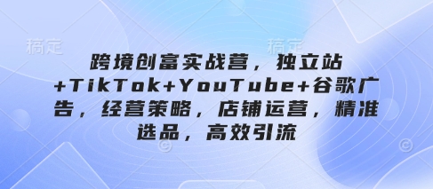 跨境创富实战营，独立站+TikTok+YouTube+谷歌广告，经营策略，店铺运营，精准选品，高效引流-天星云网创
