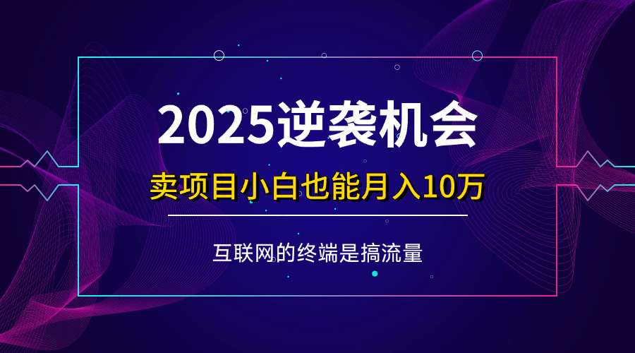项目标题：2025逆袭机会，卖项目小白也能轻松月入10万+-天星云网创