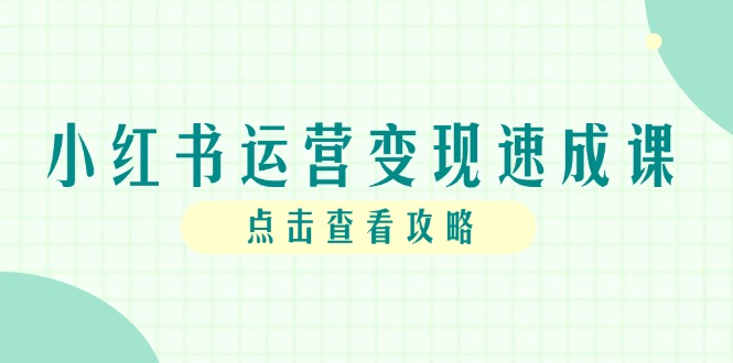 小红书运营变现速成课，账号搭建到暴力起号，个人IP全流程指南-天星云网创