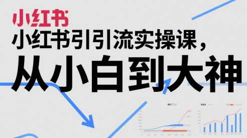小红书引流实操课，从小白到大神-天星云网创