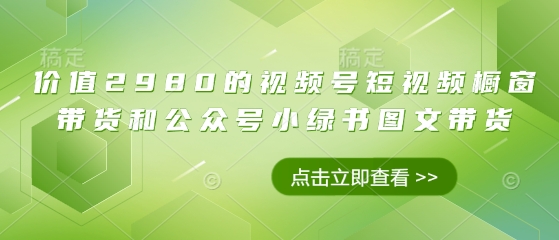 价值2980的视频号短视频橱窗带货和公众号小绿书图文带货-天星云网创